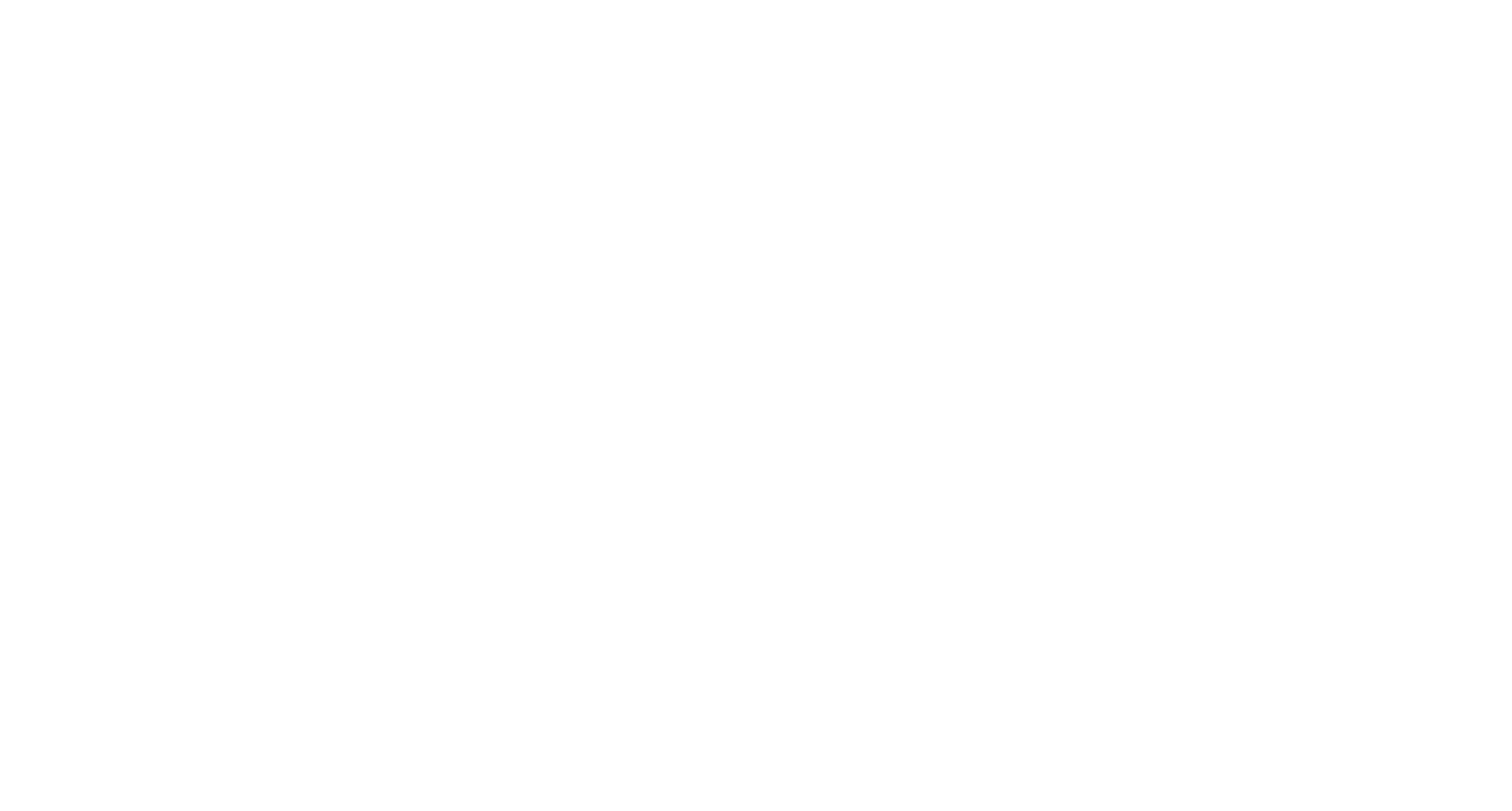 SOCIAL- OG BOLIGMINISTERIET