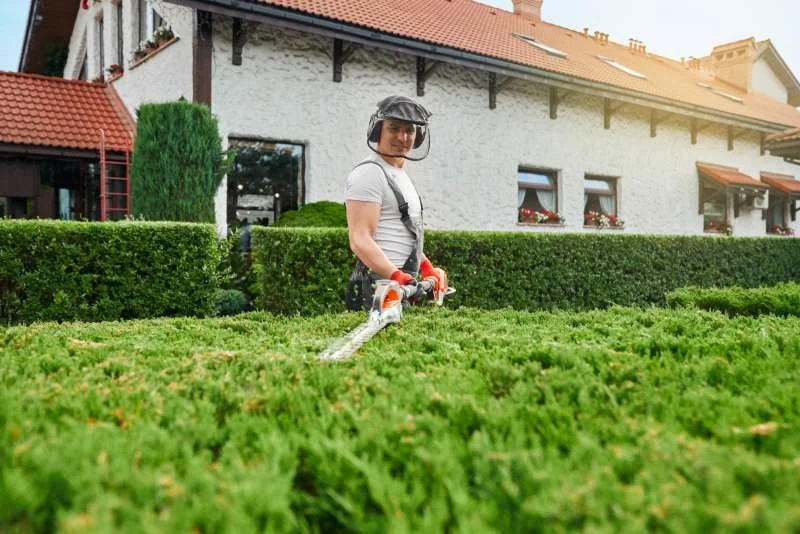 Lawn being mowed and edged