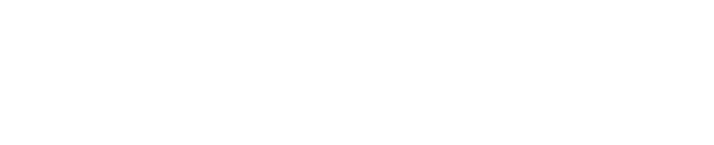 DMK Global Logo