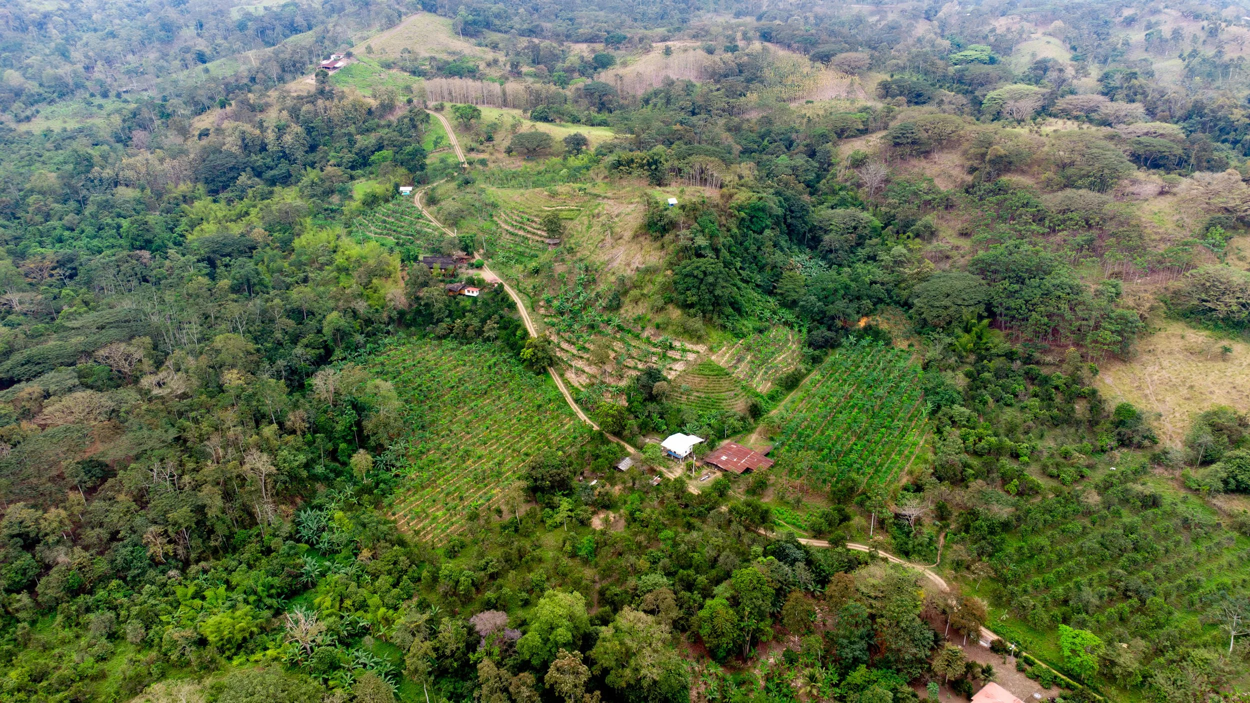 Aerial view of Los Arboleros Farm in Chone, Manabí, Ecuador.