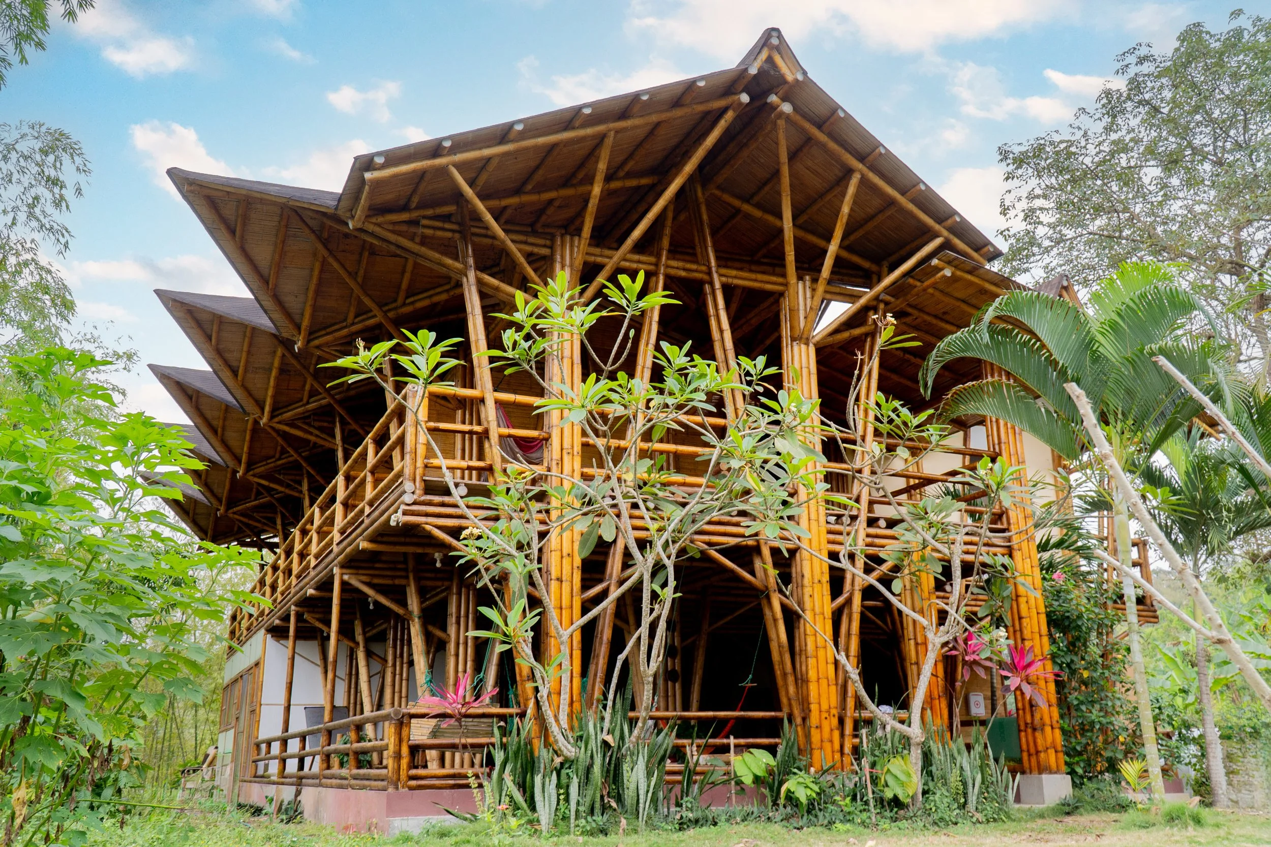 Regenerative field landscape developed through long-term work at Los Arboleros Farm.