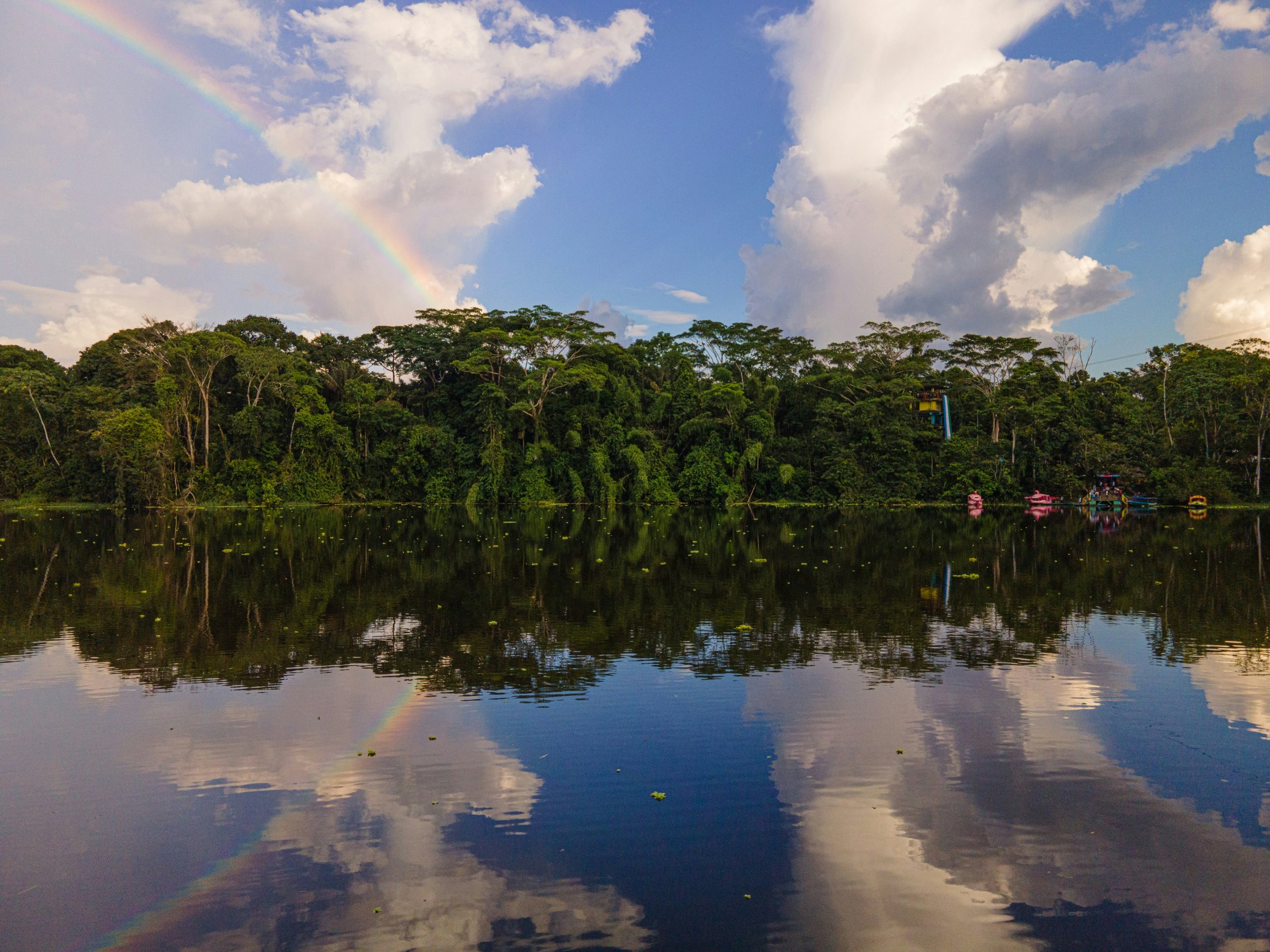 Project Chakra participants and partners reviewing Amazonian bioeconomy work.