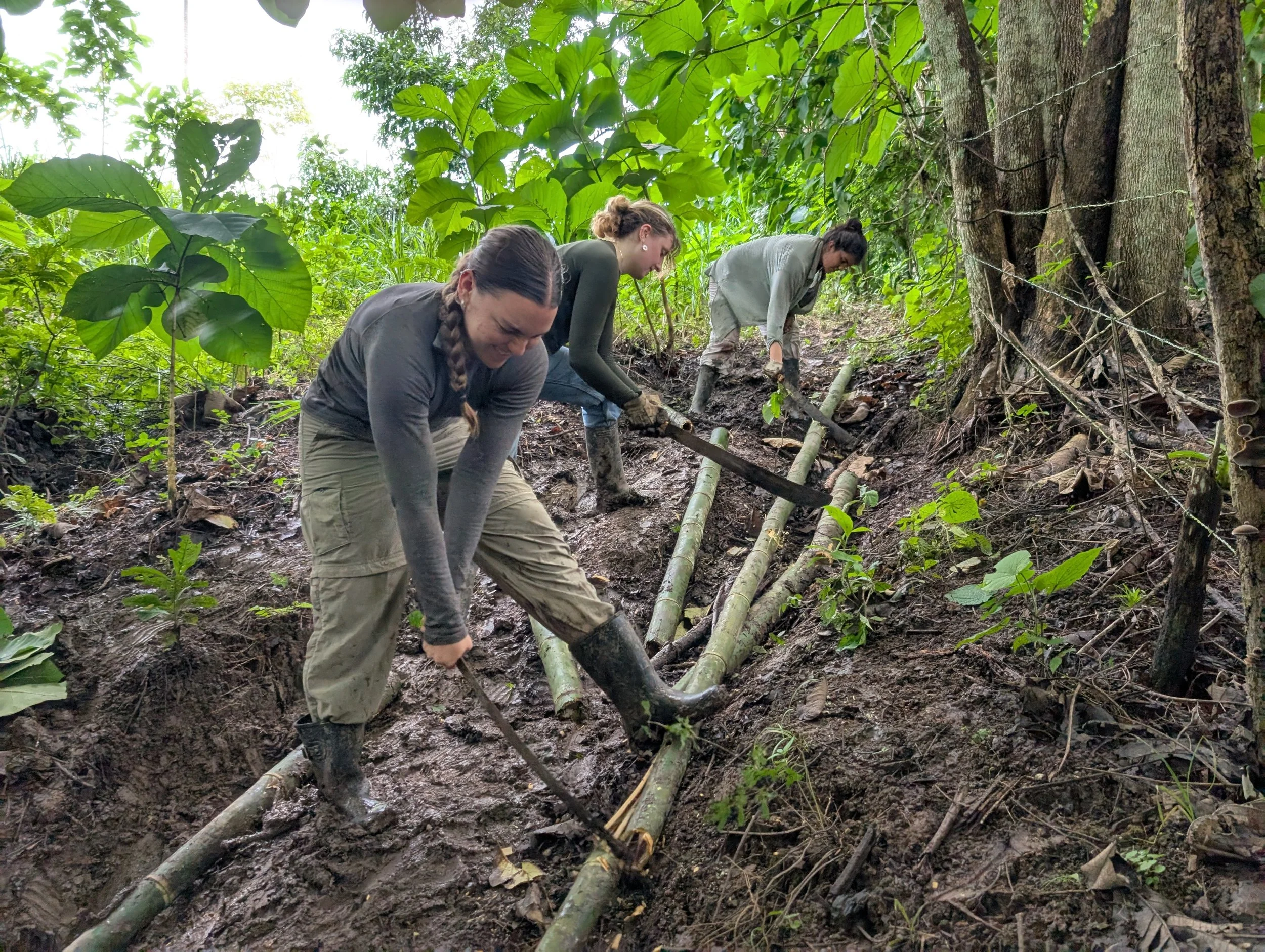 RFI participants contributing to ecological restoration work.