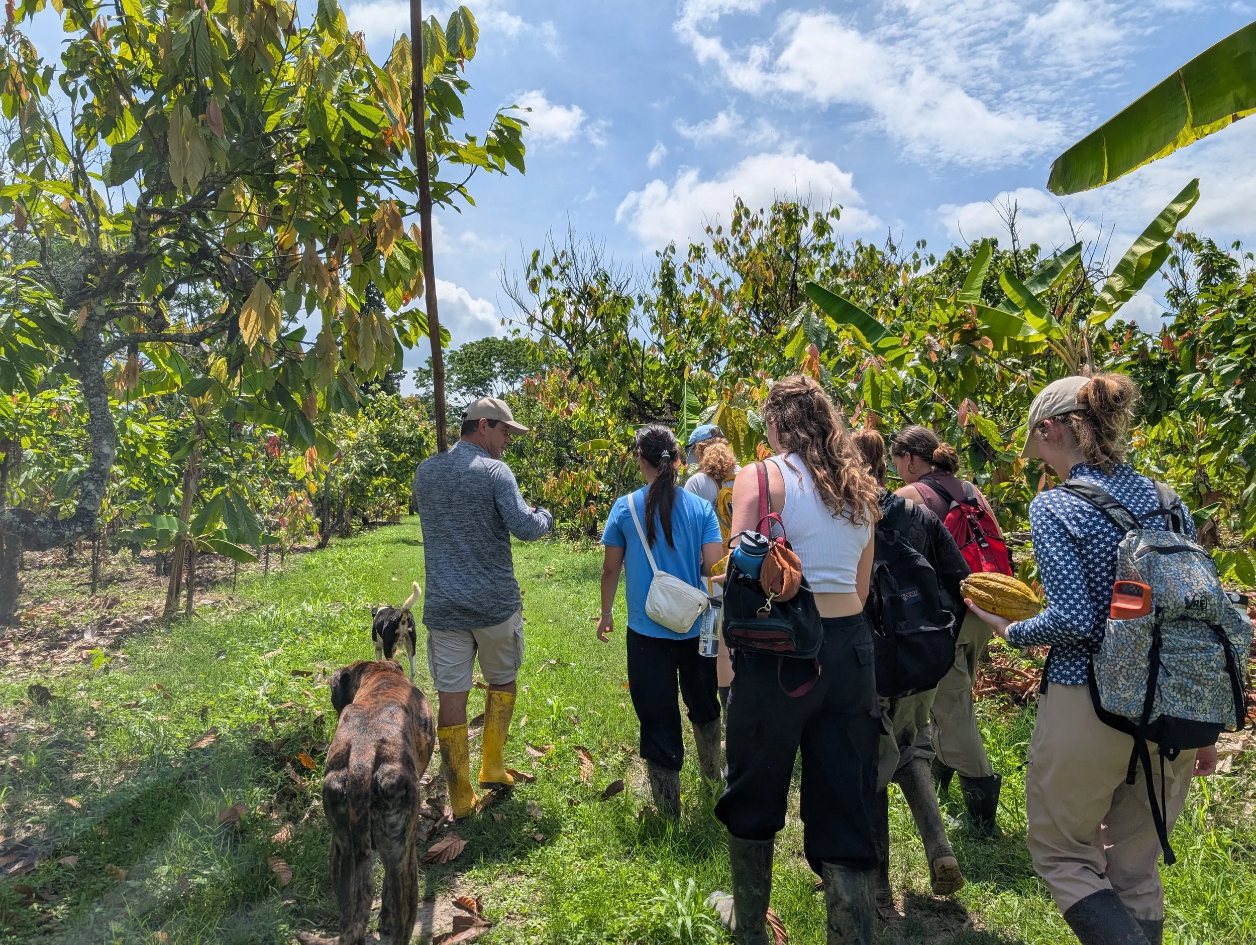 Community participants exchanging technical knowledge during a practical workshop in Manabí.