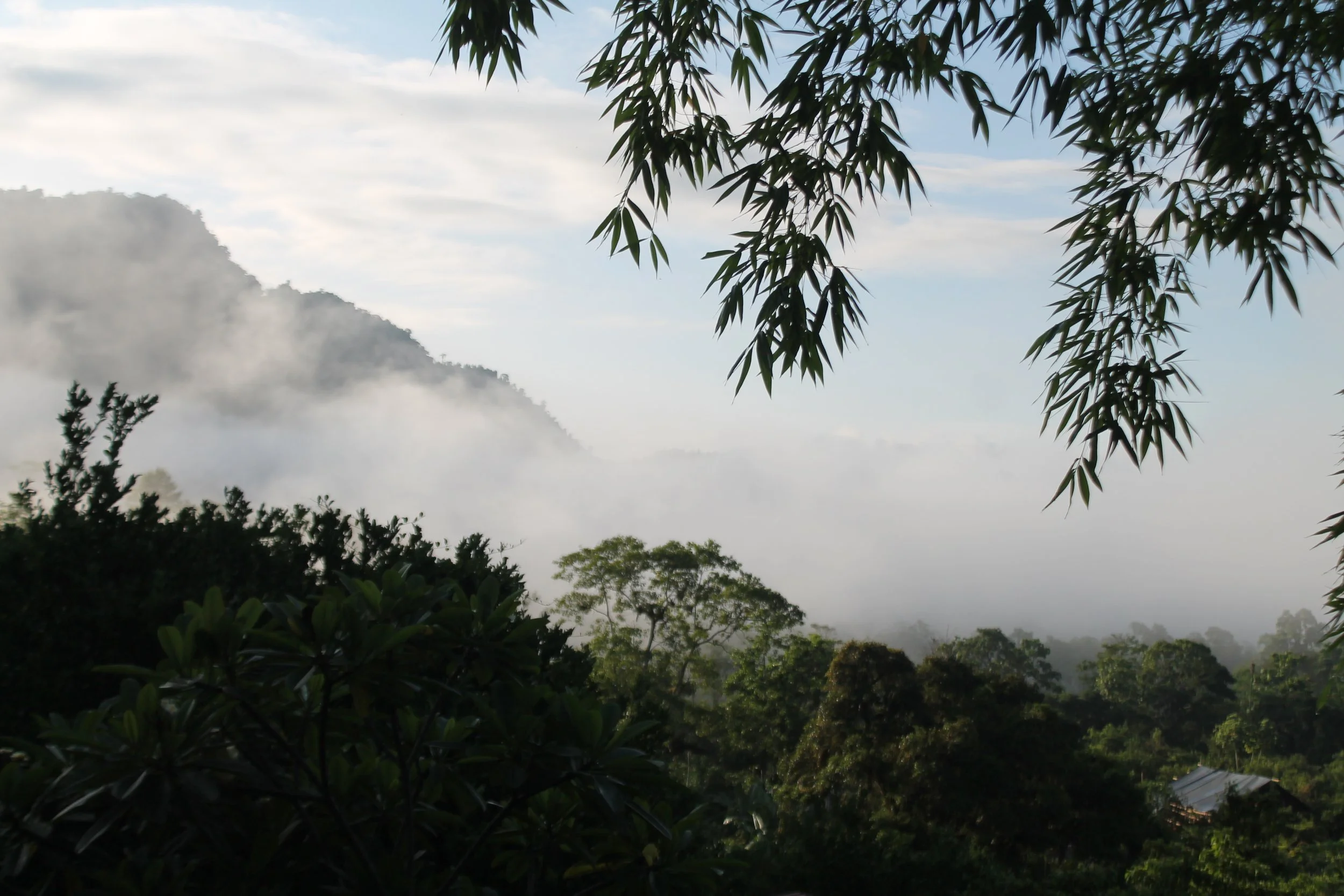 Restored and actively managed areas of the Los Arboleros landscape.