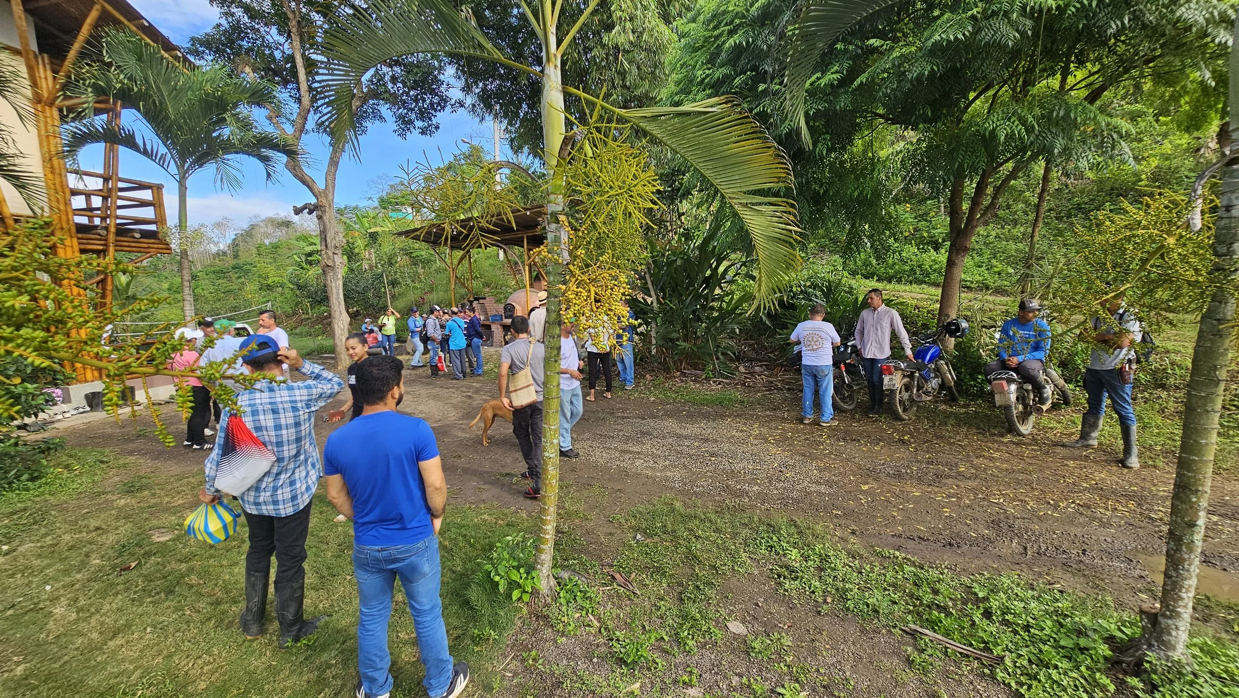 Farmers and field staff gather for a regional working session in a participant plot.