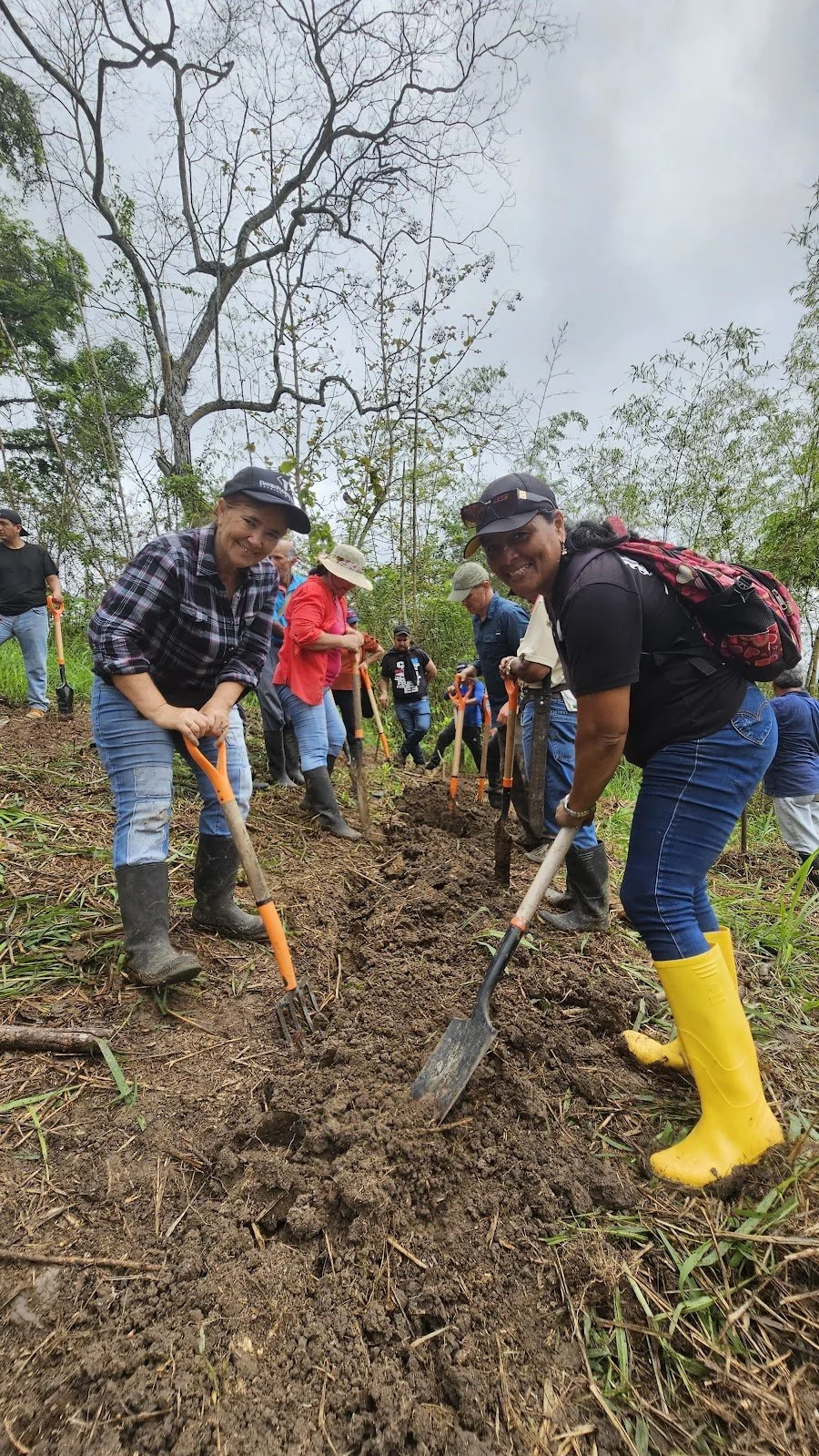 Two women and other Farmer Field School participants dig planting lines during collaborative agroforestry establishment in coastal Ecuador.