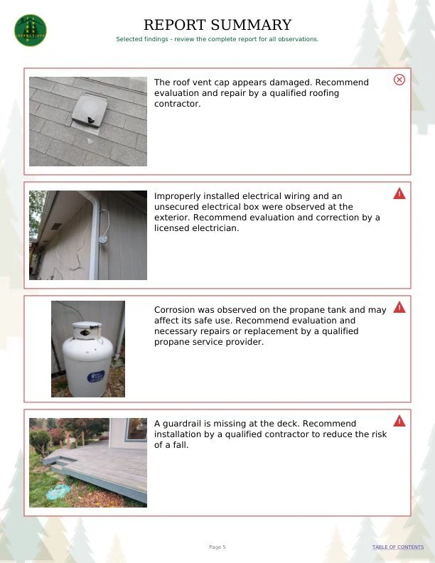 Sample report summary with large photos and clear recommendations