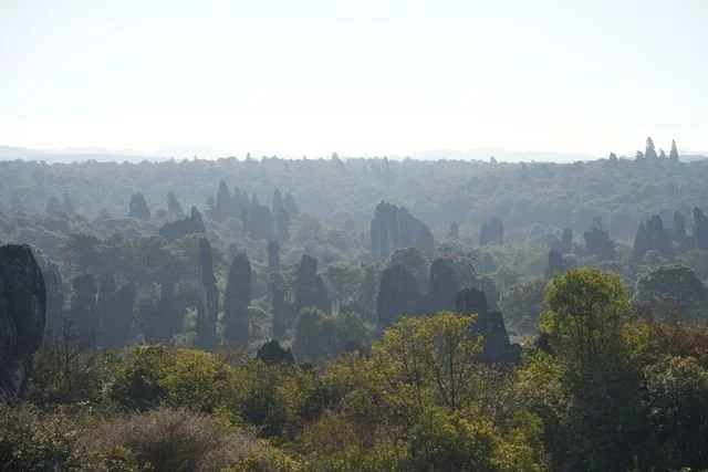 Stone pinnacles rise through the trees in layers of hazy light.