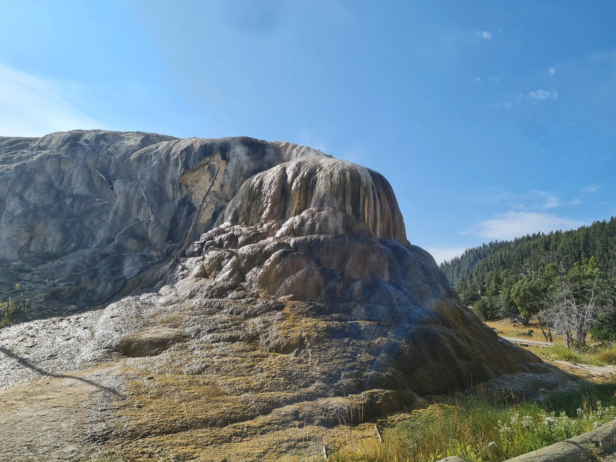 Water runs over the rounded orange and brown surface of Orange Spring Mound at Mammoth Hot Springs.