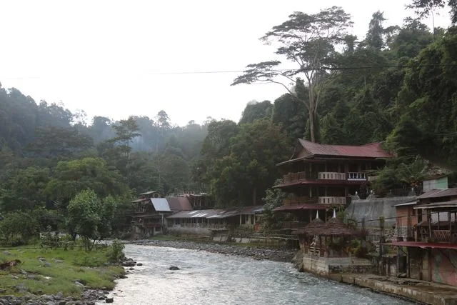 Riverside buildings sit beneath the forested slopes of Bukit Lawang.