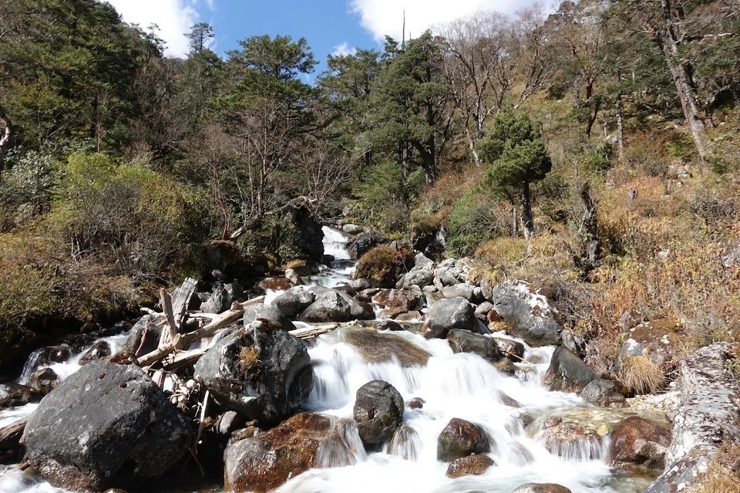 A side stream spills over boulders and fallen timber on its way into the valley.