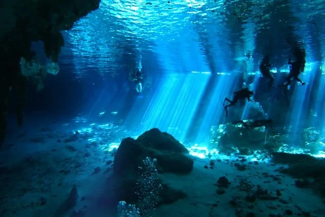 Sunlight falls through the cenote water around distant divers.