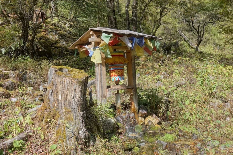 Painted details on the prayer wheel contrast with the weathered timber around it.