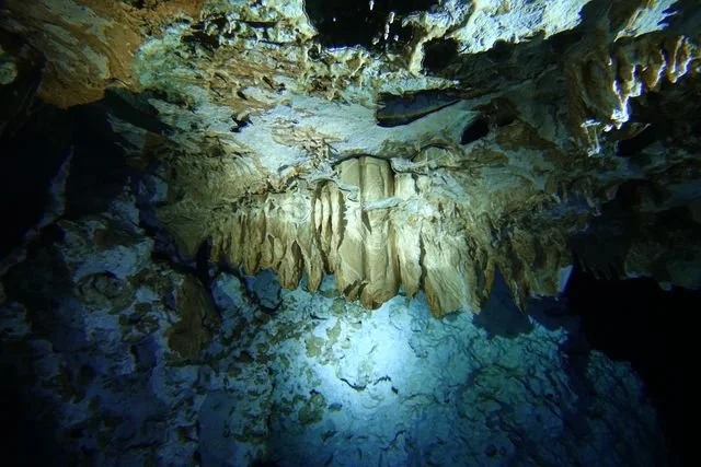 Pale mineral folds spread across the cavern wall beneath a reflective surface.