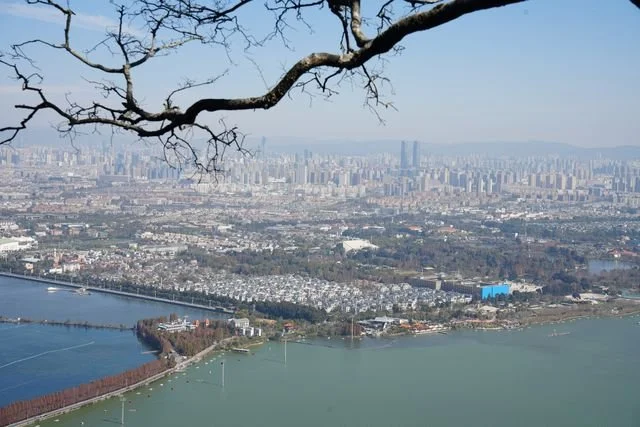 A bare branch frames Kunming's skyline and the shore of Dianchi Lake.