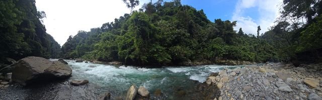 White water curls around boulders below steep, forest-covered banks.