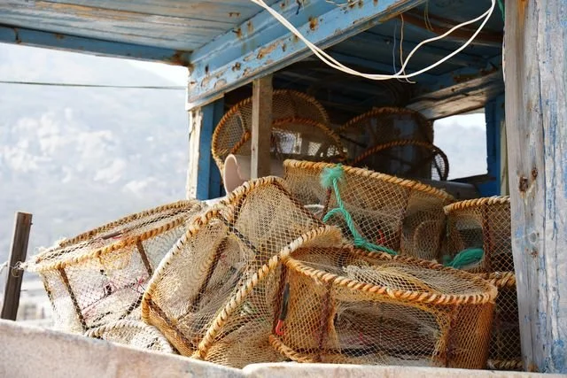Net-covered fishing traps are stacked inside a weathered blue cabin.