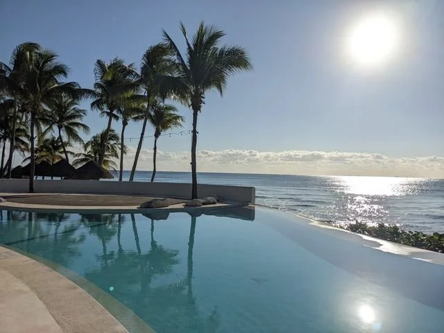 Palms reflect in a pool beside the Caribbean Sea.