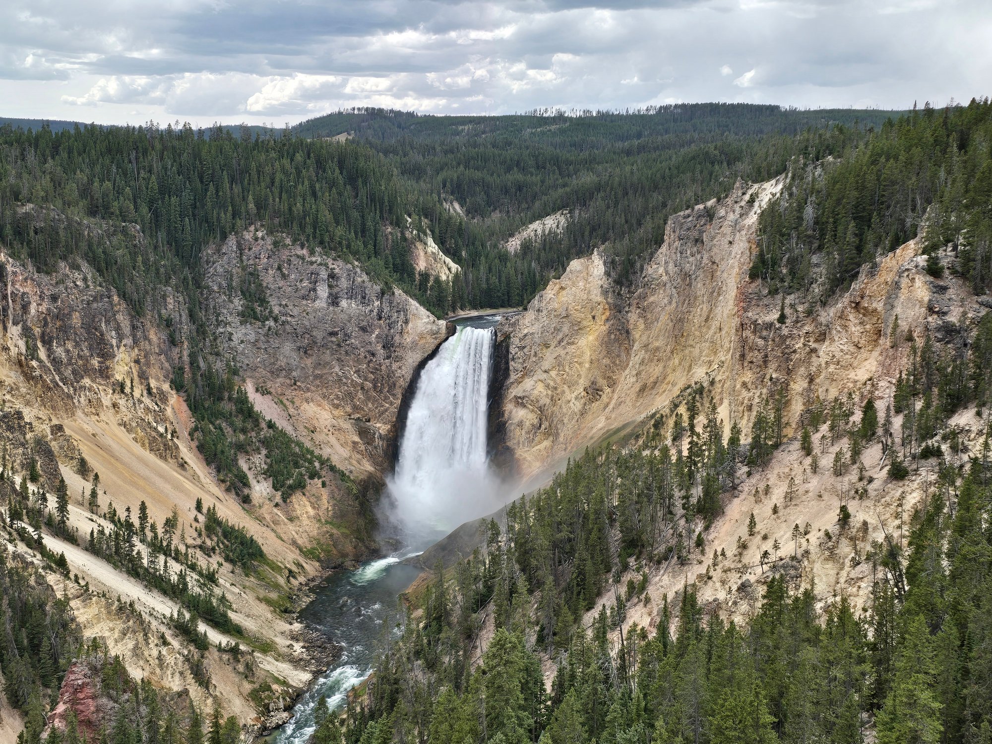 Lower Falls plunges between the pale walls of the Grand Canyon of the Yellowstone.