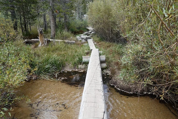 Narrow timber bridges carry the trail over a stream bordered by grasses, shrubs and conifers.