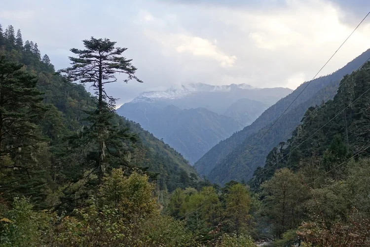 Forested slopes lead towards a pale, snow-dusted ridge beneath the clouds.