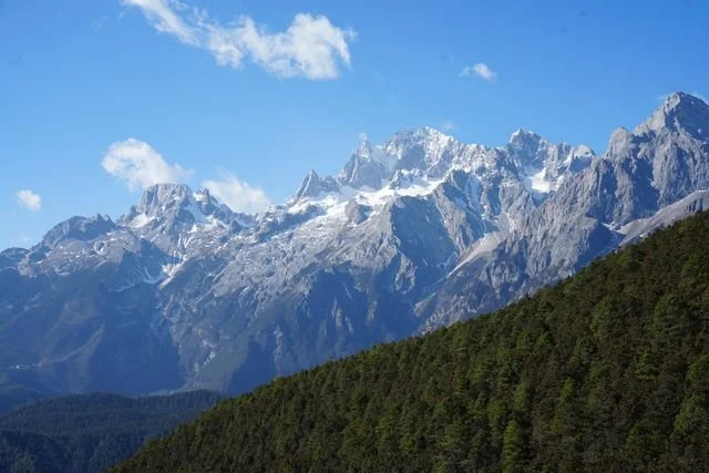 Snow follows the ridges and gullies of Yulong Snow Mountain above the forest.