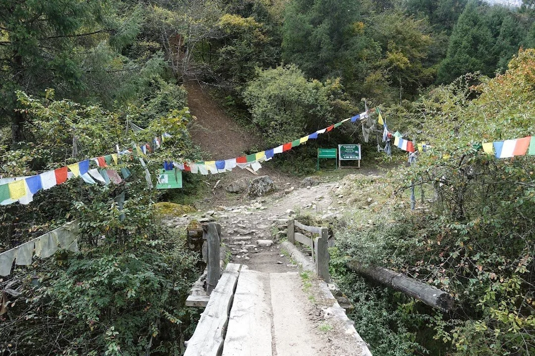Prayer flags cross the wooden bridge near Shana, where the trail enters the forest beside the Pa Chhu.