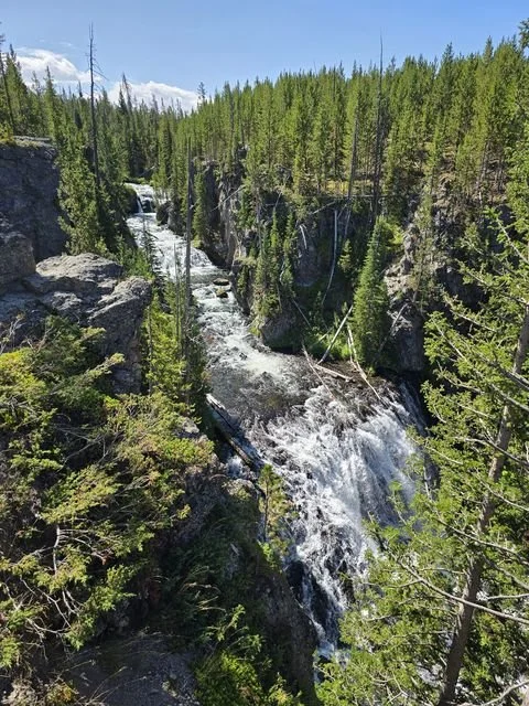 The Firehole River descends through the wooded gorge at Kepler Cascades.