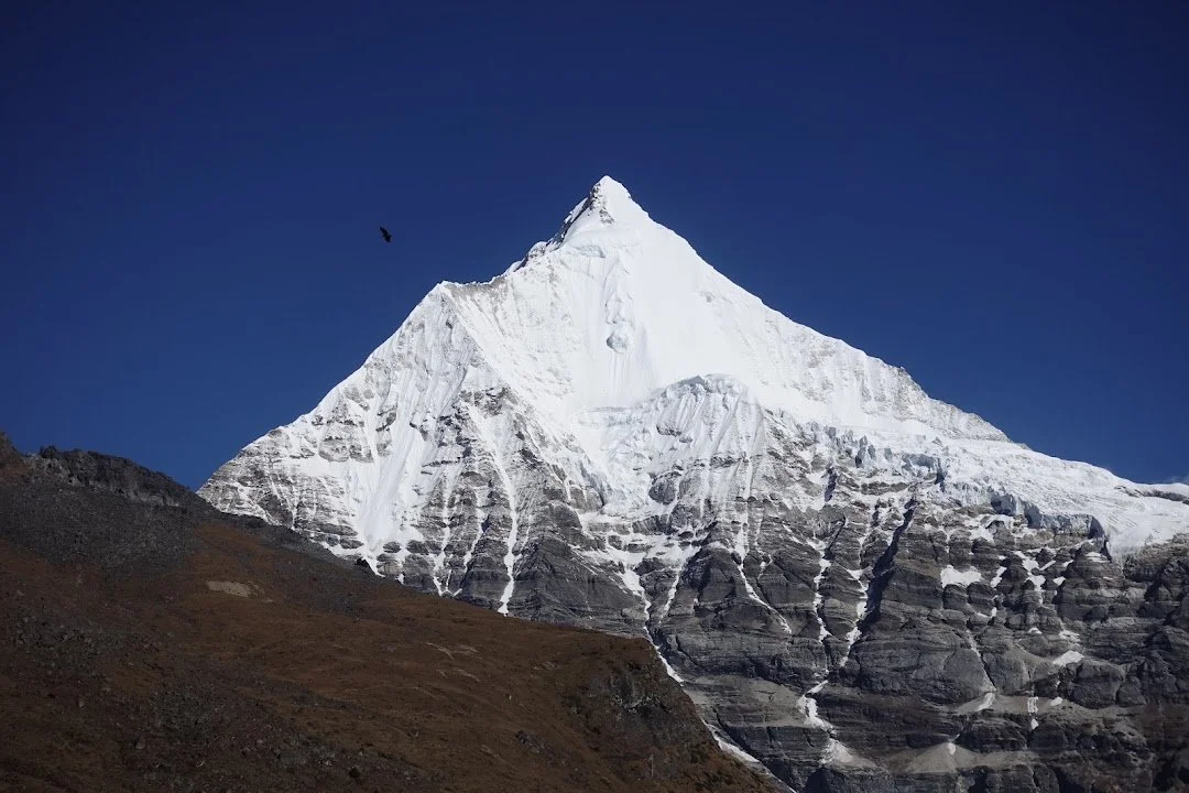 A dark bird passes the sharply pointed snow peak, its lower face striped with rock and ice.