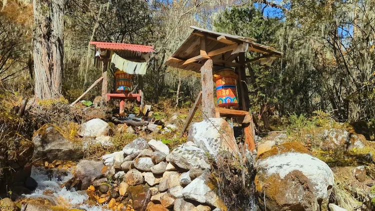 Two painted prayer wheels stand above the water channel in the forest.