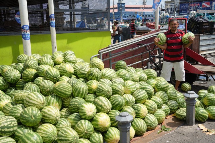 Watermelons (Citrullus lanatus), handcarts and moored boats share the scene at Belém’s waterfront market.