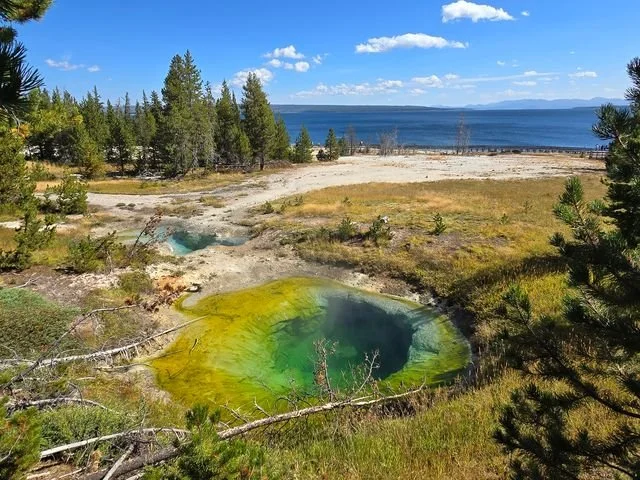 Seismograph Pool lies below the blue water of Yellowstone Lake, with pale Bluebell Pool nearby.