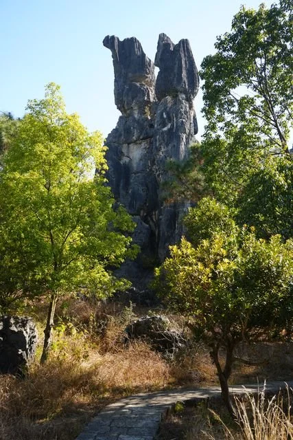 A tall stone tower rises above the trees beside a curving path.