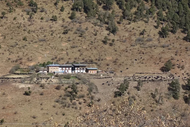 A hillside homestead and grazing livestock across the valley from the trail.