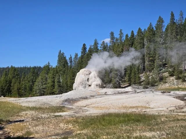 A plume of steam rises from the pale cone of Lone Star Geyser.