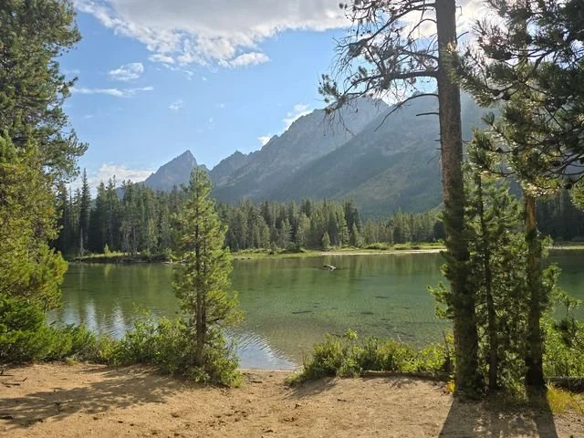 The clear shallows of String Lake reveal submerged stones beneath a wooded mountain skyline.