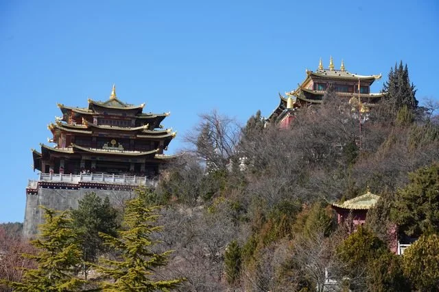Golden temple roofs rise above a wooded hillside.