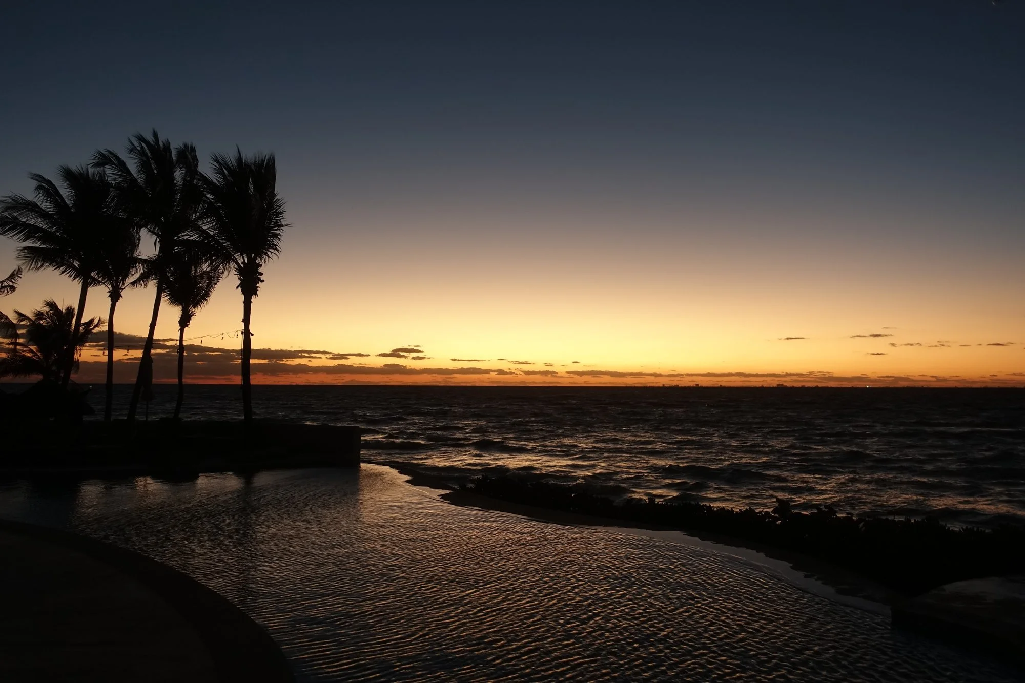 A gold horizon silhouettes palms above the sea and a curved pool.