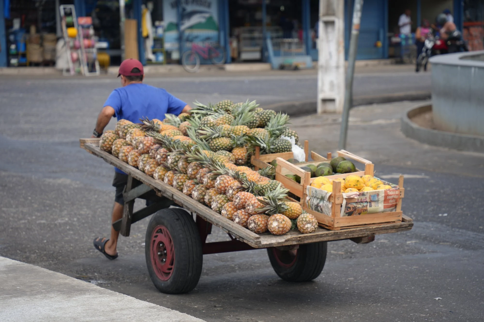 A handcart piled with pineapples (Ananas comosus) makes its way through Belém.