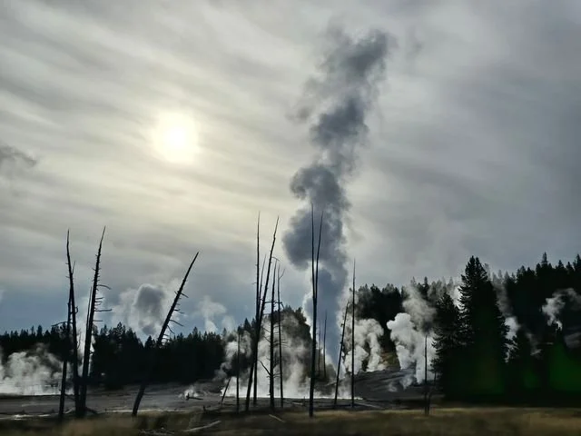 A bright sun filters through a towering plume above the dark ground and bare trunks of Porcelain Basin.
