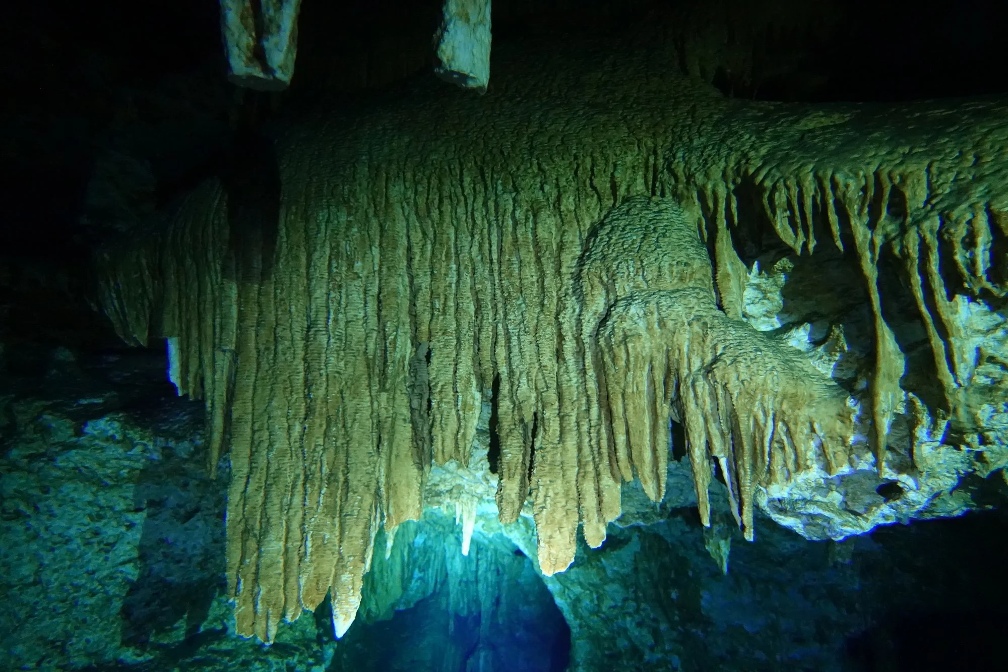 Long, ribbed cave formations hang like curtains in the torchlight.