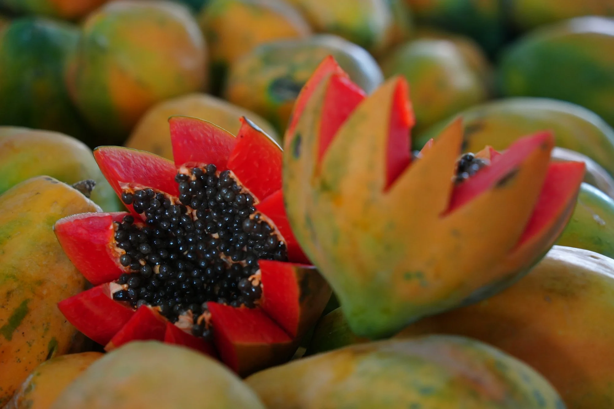 Papayas (Carica papaya) are displayed in Manaus, one cut into a star-shaped opening that reveals bright flesh and glossy black seeds.