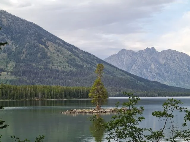 A single conifer stands on a small rocky island in Leigh Lake.