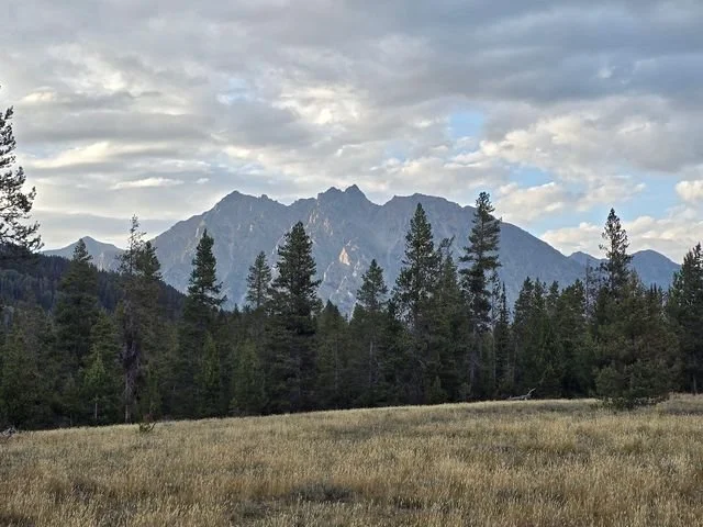 Jagged Teton peaks rise above a dark belt of conifers and a sunlit meadow.