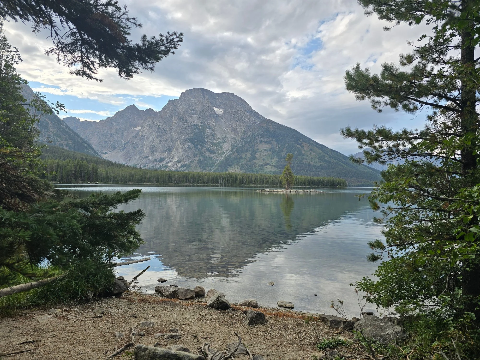 Mount Moran rises above calm Leigh Lake, with a small island below the wooded shore.