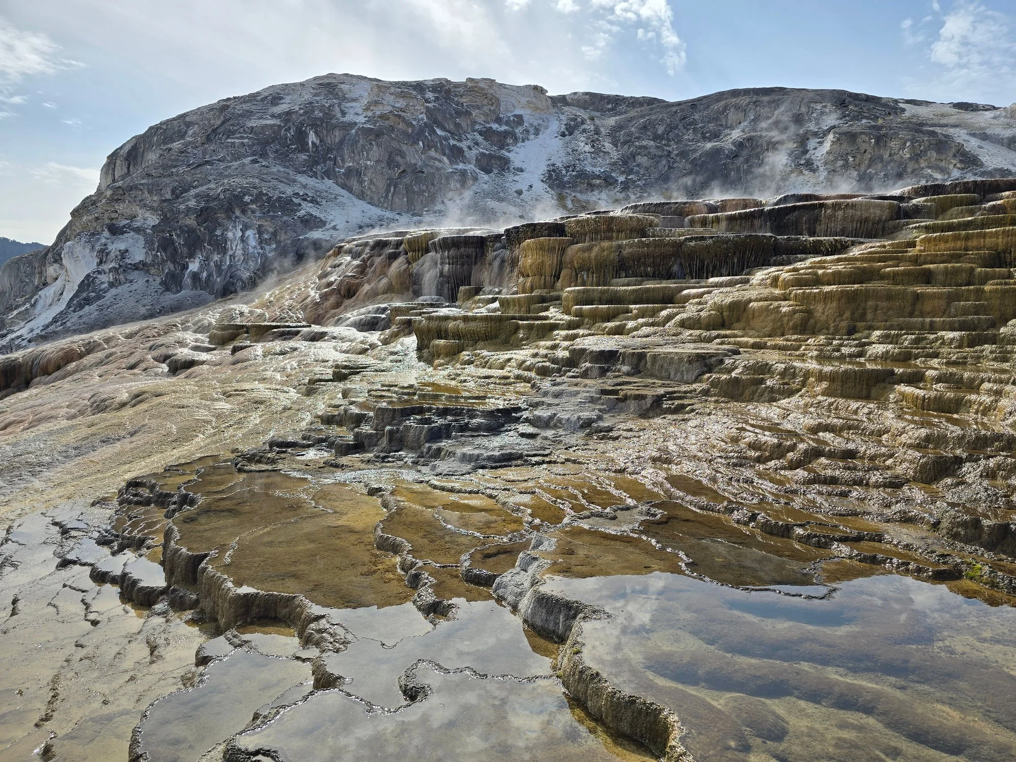 Shallow water shines across a staircase of gold and brown terraces at Mammoth Hot Springs.