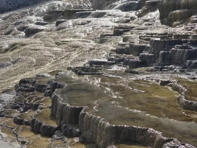 Curving travertine rims hold thin pools of reflective water at Mammoth Hot Springs.