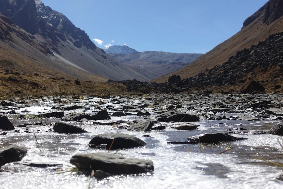 Thin ice catches the sunlight between stones in the shallow mountain stream.