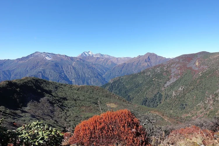 A vivid red shrub stands above green slopes and distant peaks on the way back towards Shana.